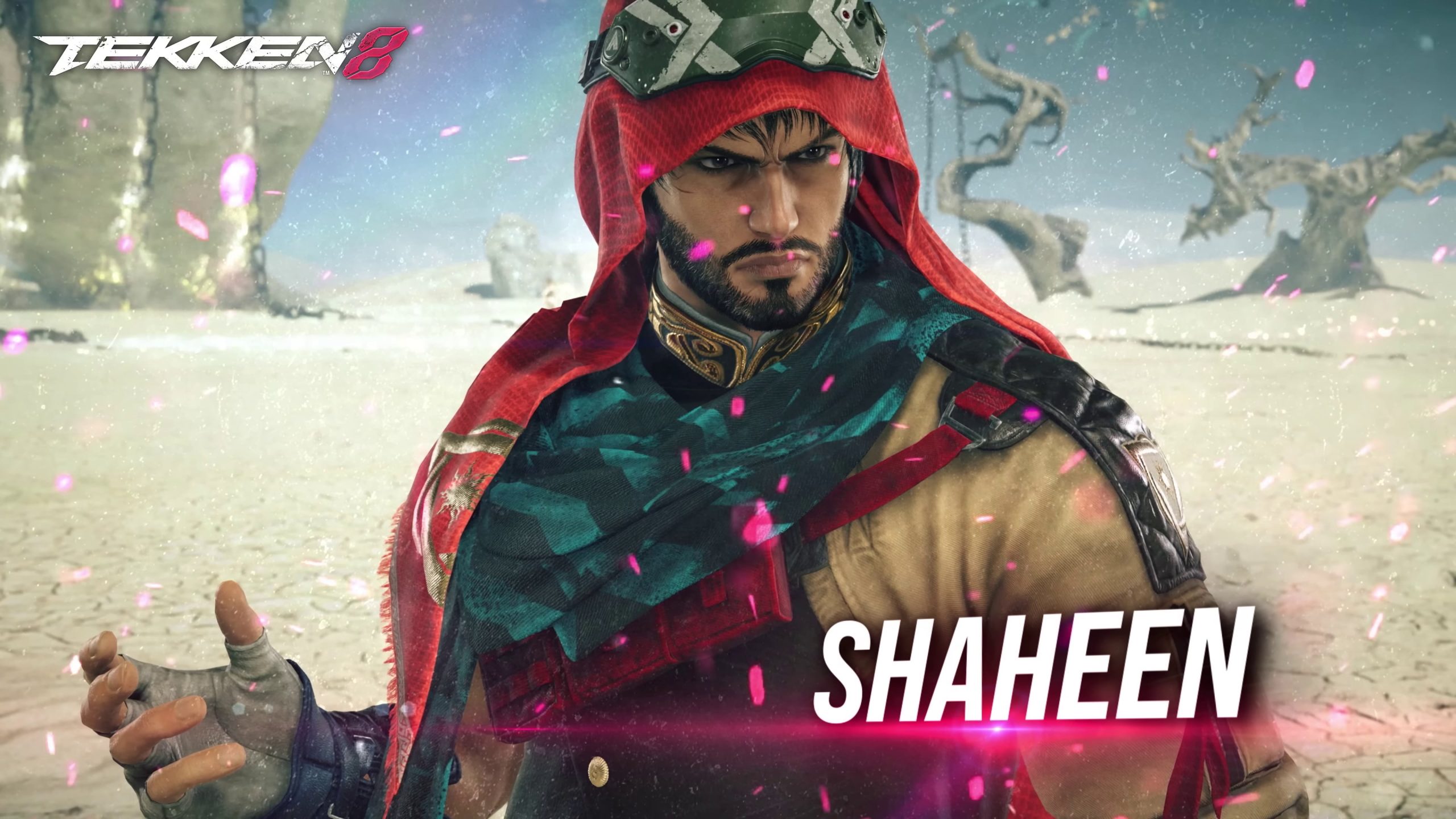 Tekken 8 présentation vidéo de Shaheen